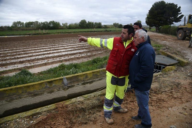 Impresionantes imágenes de la crecida del rio en Gelsa, Pinta y Quinto de Ebro