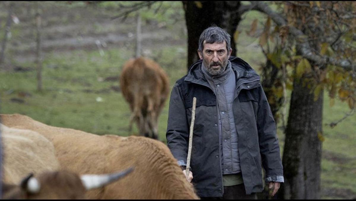 Tráiler de ''As bestas'', la película de Rodrigo Sorogoyen