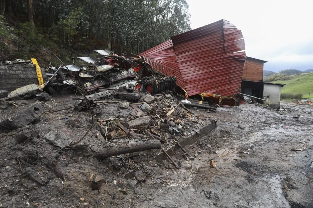 Temporal en Asturias: Un argayo sepulta una ganadería en Salas