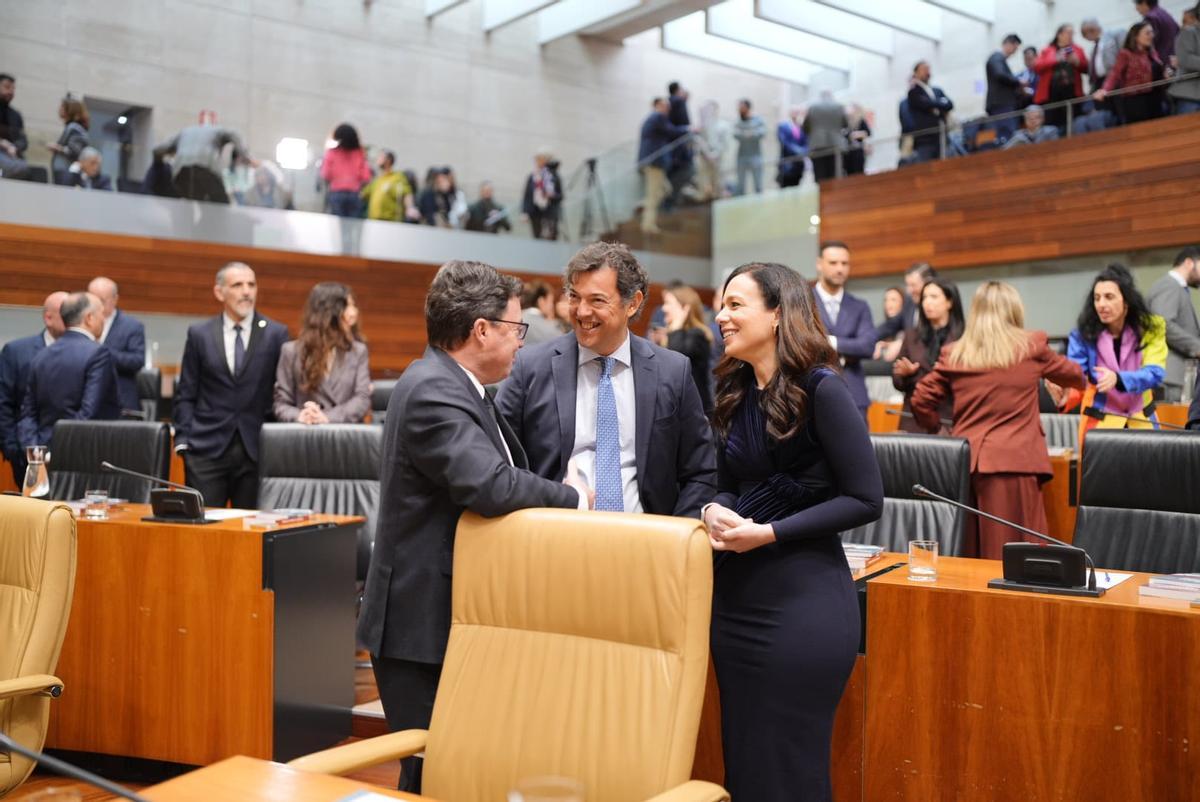 Fotogalería | Imágenes de la XII legislatura en Extremadura