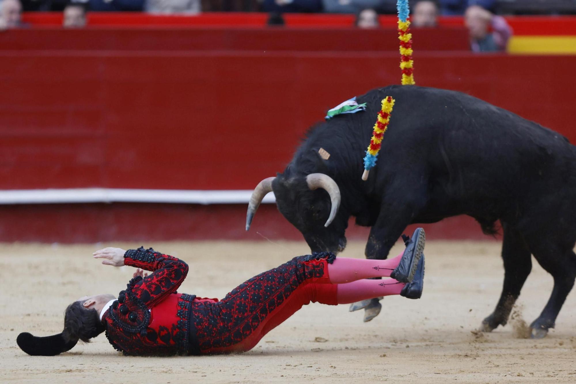 La novillada sin picadores de la Feria de Fallas, en imágenes