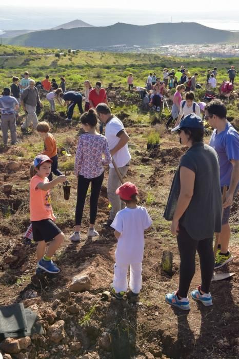 Celebración insular del día del árbol, en la ...