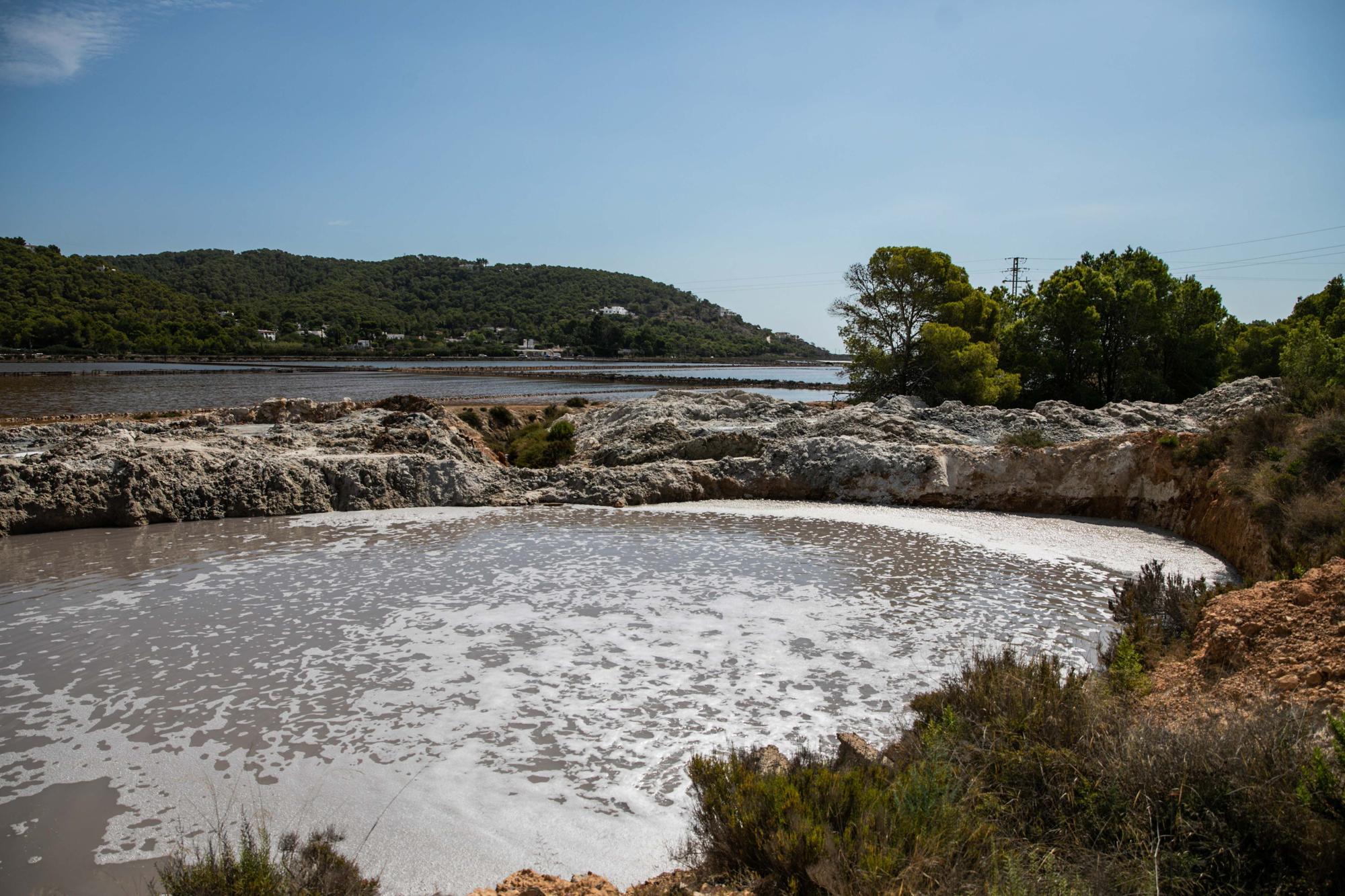 Salinera de Ibiza