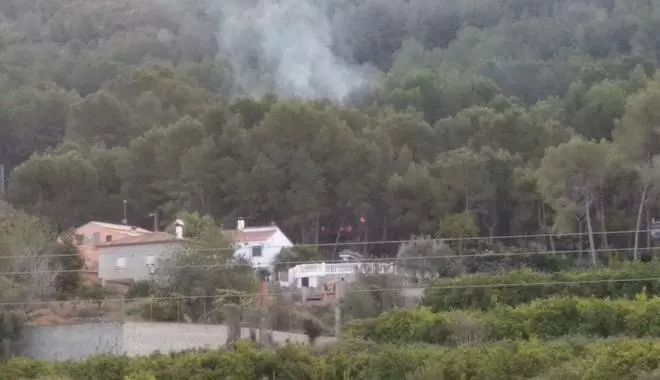 Tres ladrones saltan por un barranco al ser acorralados por vecinos en El Genovés