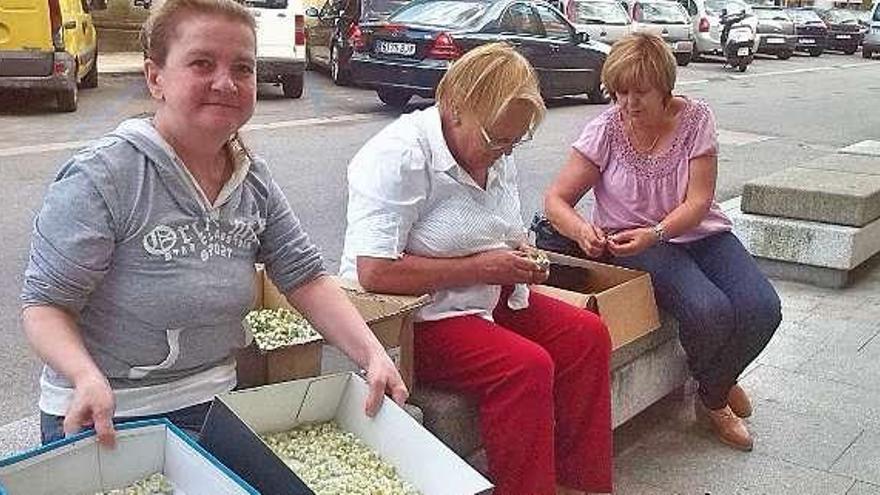 Tres mujeres cortan flores en Eduardo Vincenti, en Cangas.