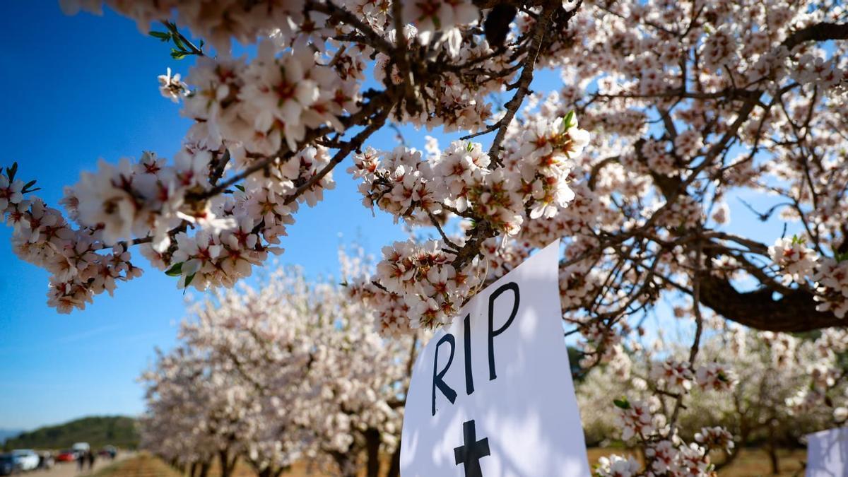 Protesta vecinal contra la planta de biometano de Llíria por el inicio de las obras