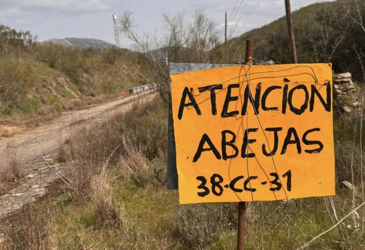 Cartel de aviso por abejas junto a las colmenas