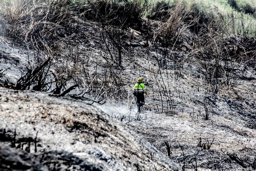 El fuego calcinó 20.000 metros cuadrados de matorral la noche del miércoles