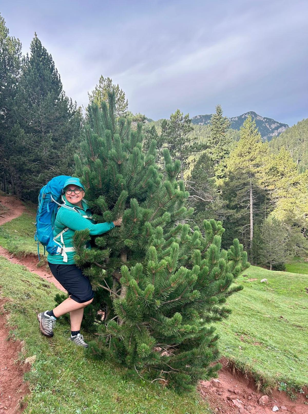 Tonina, en el Pirineo catalán.