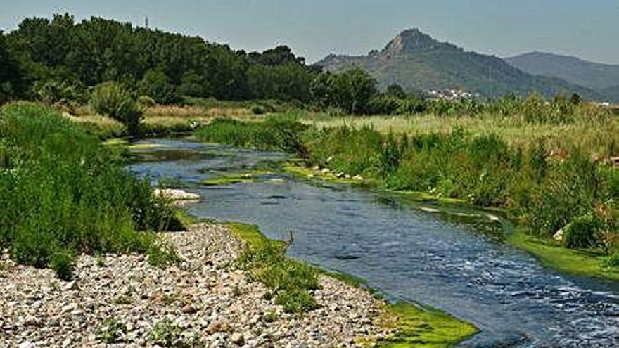 L&#039;acumulació de sediments danya els rius més que els nitrats, segons un estudi