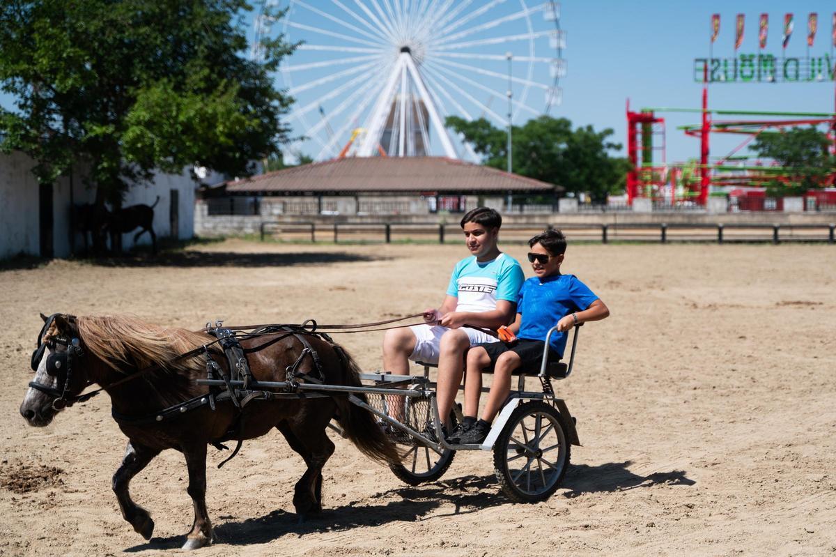 Galería | Feria de ganado en Cáceres