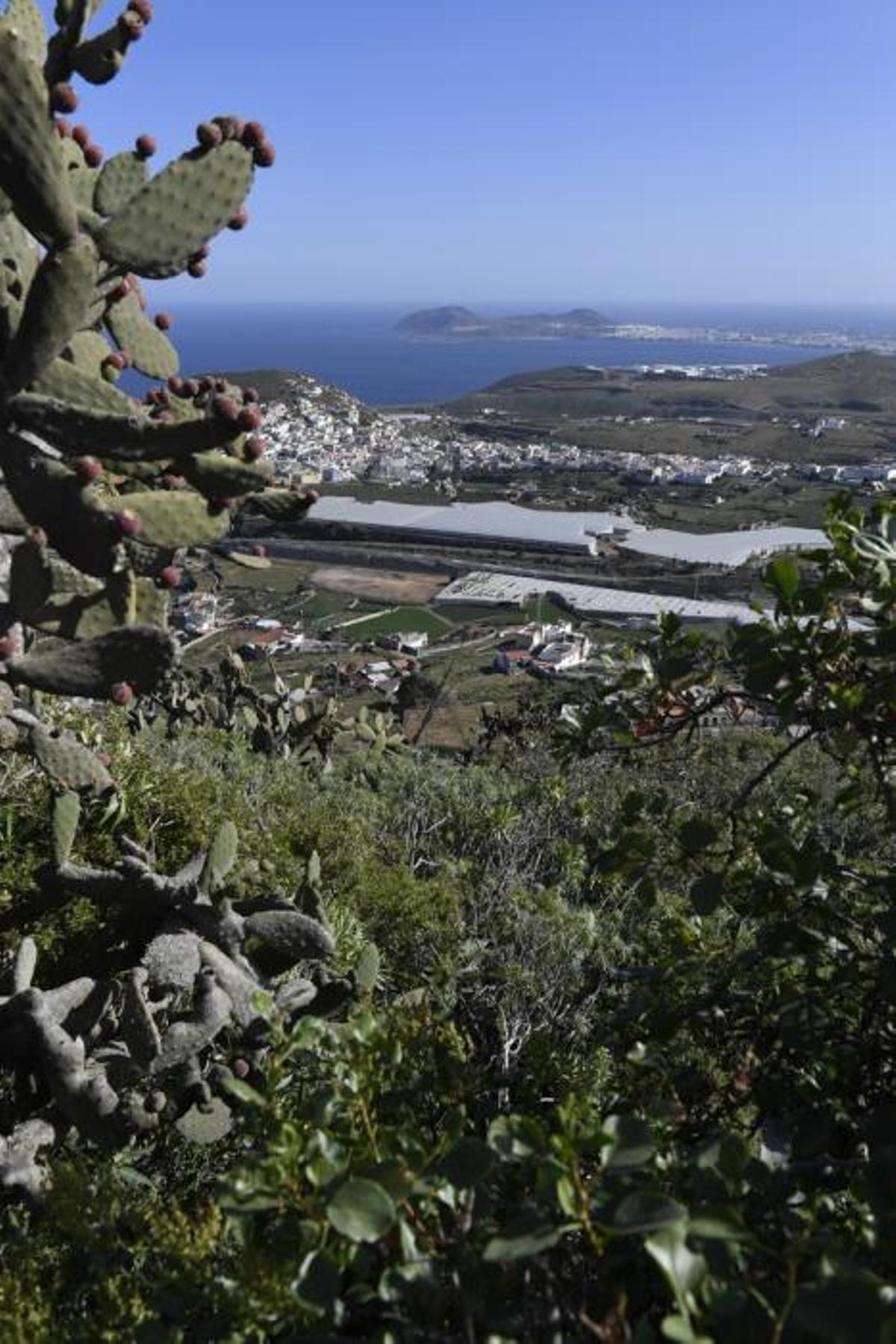 GRAN CANARIA 14-01-2019 ARUCAS. METEOROLOGIA. Calima. Vistas desde la Montaña de Arucas  FOTOS: JUAN CASTRO