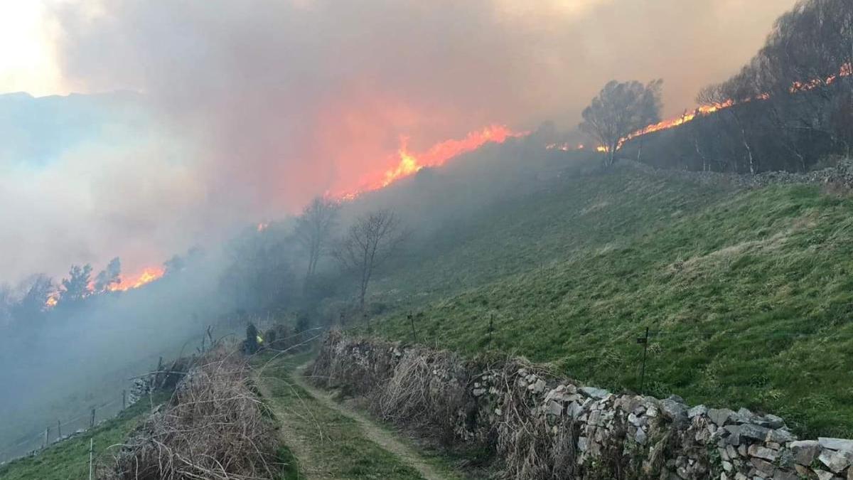 Incendio forestal en Bullacente, el pasado mes de febrero.