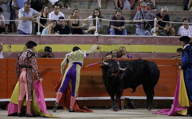 Toros en Palma