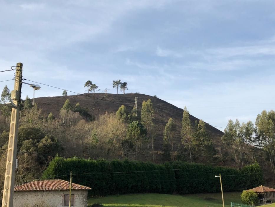 Incendio forestal en Posada de Llanes.