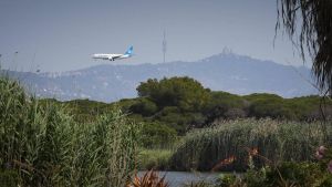 Imagen de la Laguna de la Ricarda que se verá afectada por la ampliación del aeropuerto de Barcelona.