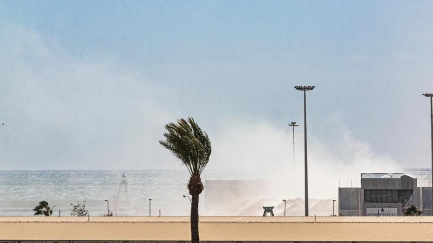 Nubes de polvo por el material almacenado en el puerto donde se ha interrumpido la normativa