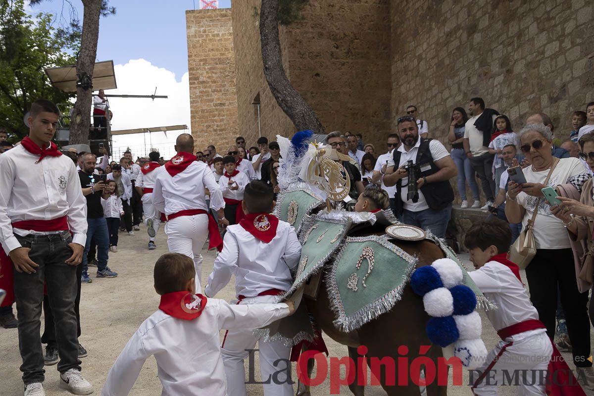 Fiestas de Caravaca | Desfile infantil del Bando de los Caballos del Vino
