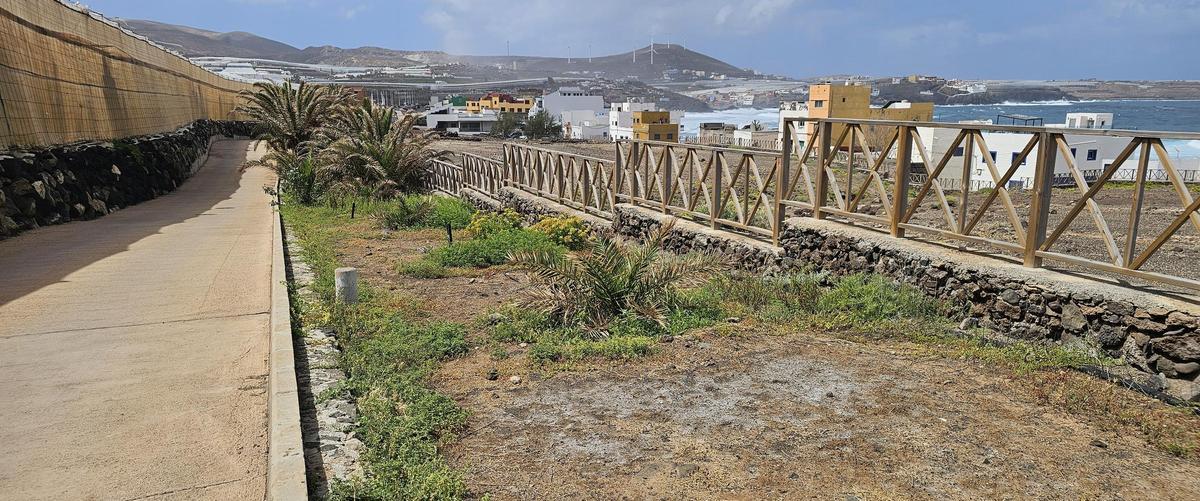 Denuncian abandono de jardines públicos en la zona de El Agujero en Gáldar