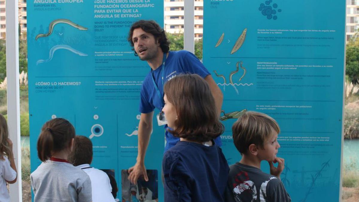 Tallers, humor i un aniversari per a celebrar la ciència a l’Oceanogràfic