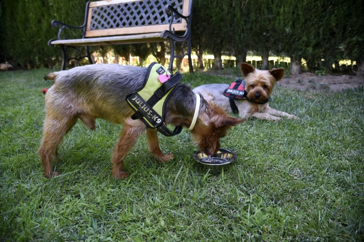 Las mejores imágenes de la ola de calor en Zaragoza