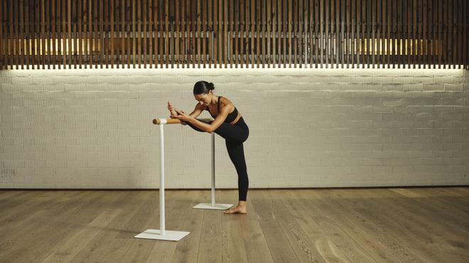 Oysho Training Barre.