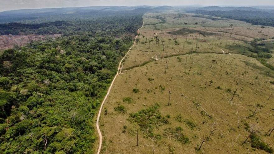 El Amazonas ha empezado a emitir más CO2 del que absorbe