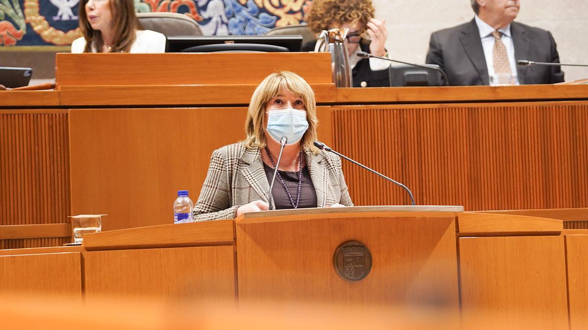 La consejera de Educación, Tomasa Hernández, ha comparecido a petición propia en el pleno de las Cortes de Aragón.