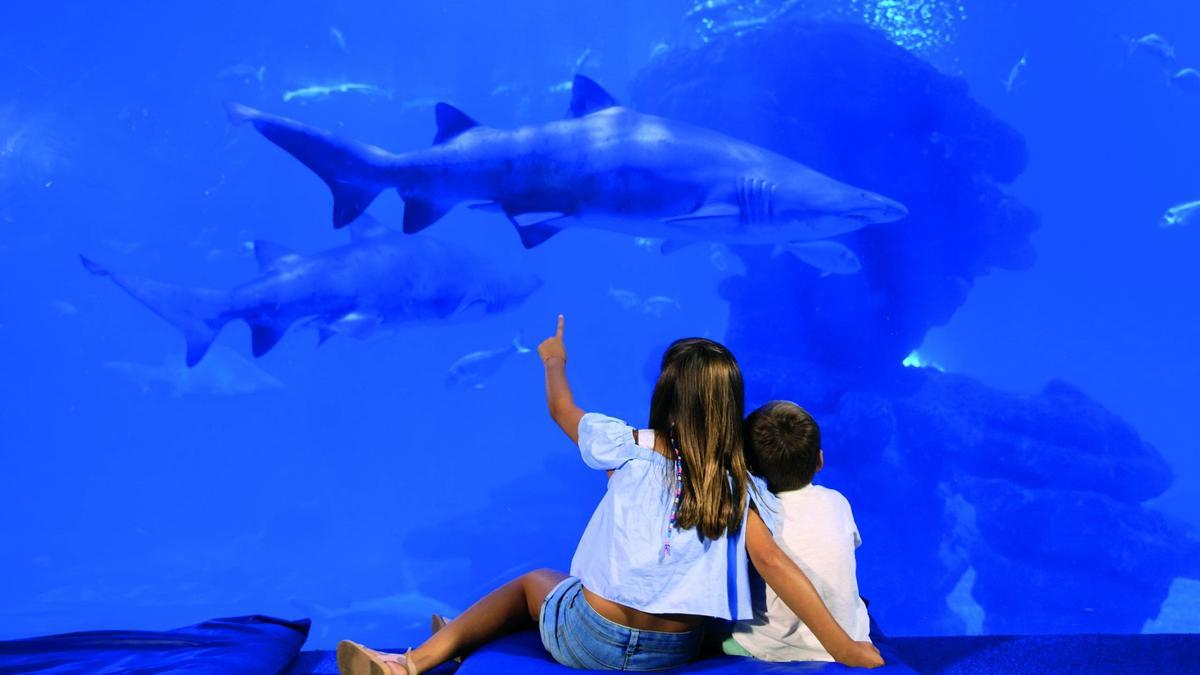 Dos niños ante el Big Blue del parque.