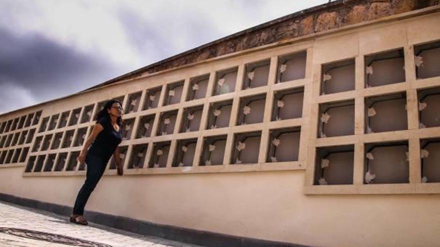 El nuevo columbario habilitado por el Ayuntamiento en el cementerio municipal.