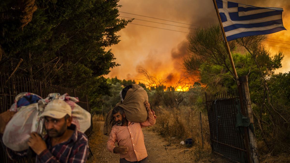 Incendios forestales alrededor del planeta