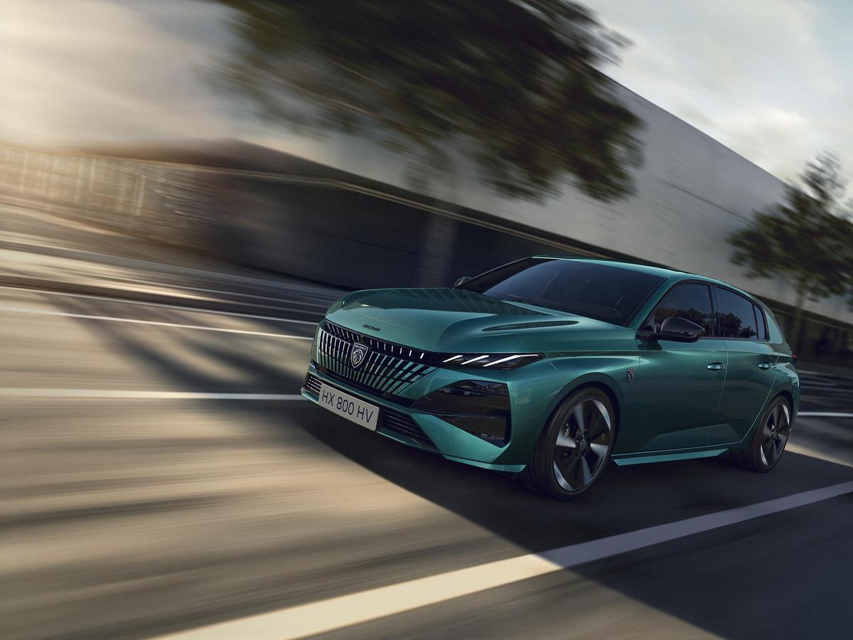 C segmentinin kralları