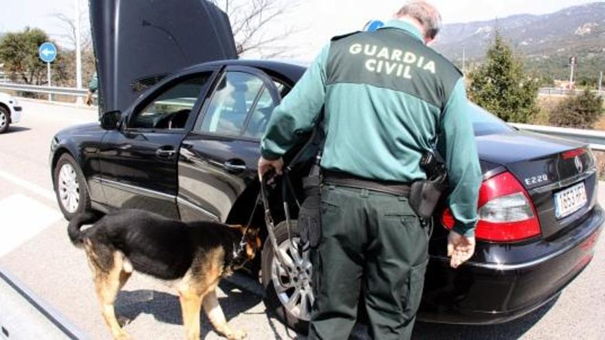 El gos de la Guàrdia Civil va descobrir la droga a dins del cotxe, imatge d&#039;arxiu