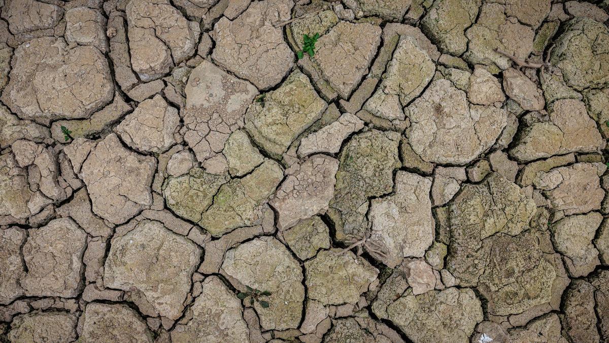 Terra seca al pantà de Sau, conseqüència de la sequera