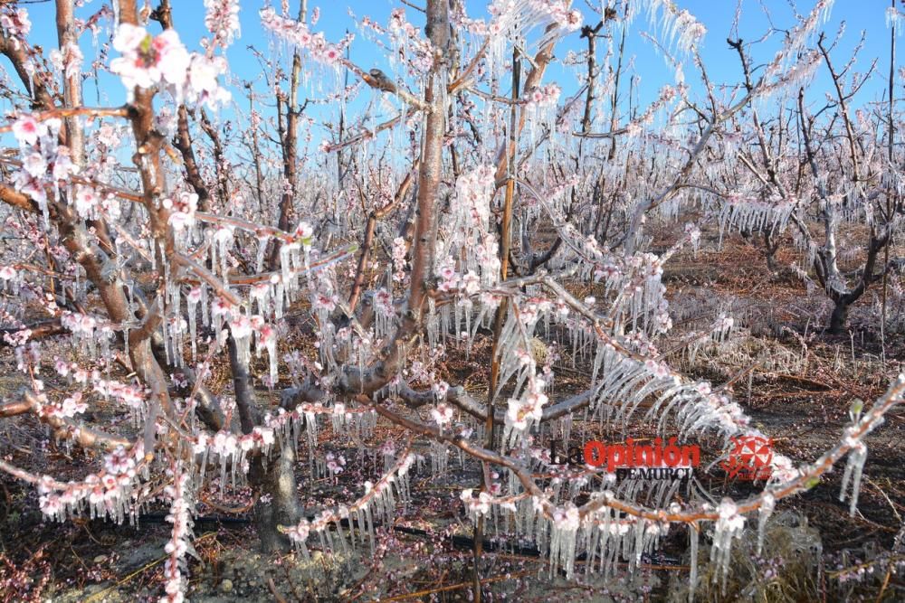 Helada en Cieza 9 de febrero de 2018