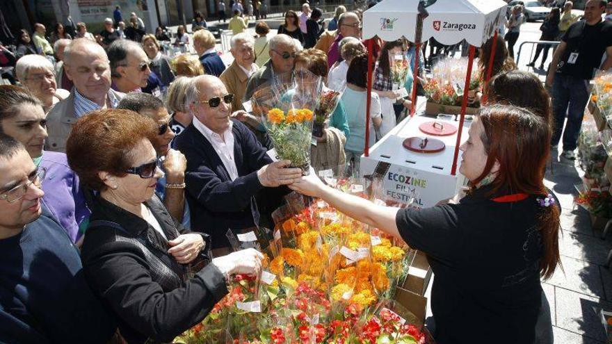 Ecozine reparte 1.000 plantas en su presentación en sociedad