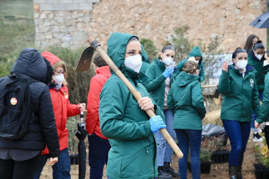 Carmen y la corte se suman a la "plantà verda" de las Fallas