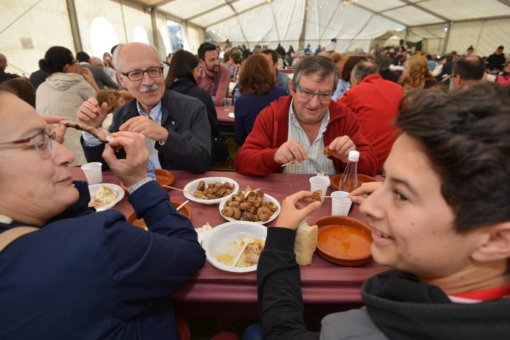 Santa María de Sacos, en Cerdedo-Cotobade, celebra la noveda edición de su fiesta gastronómica.