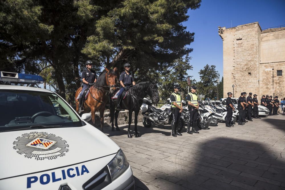 Die Stadtverwaltung hat am Donnerstag (18.5.) das Aufgebot für den Sommer vorgestellt. Die Ortspolizei von Palma soll in dieser Sommersaison mit 92 Einsatzkräften in den Tourismuszonen der Stadt wie der Playa de Palma für Sicherheit und Ordnung sorgen.