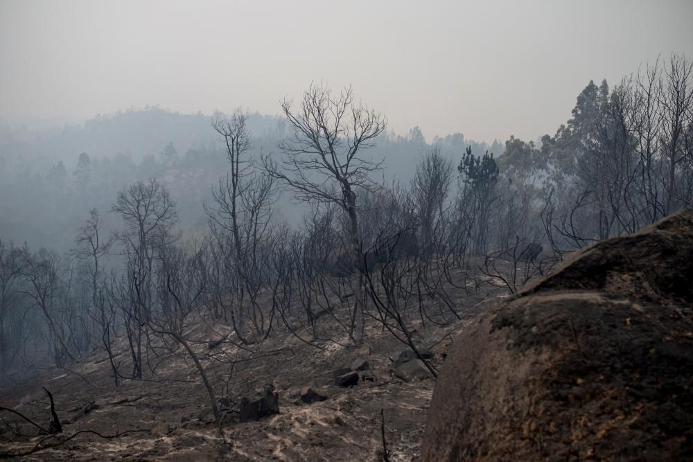 Efectes dels incendis que afecten Galícia, aquest dilluns 16 d''octubre del 2017