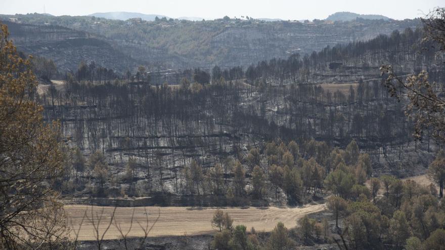 L’incendi del Pont va assolir velocitat de tres quilòmetres per hora