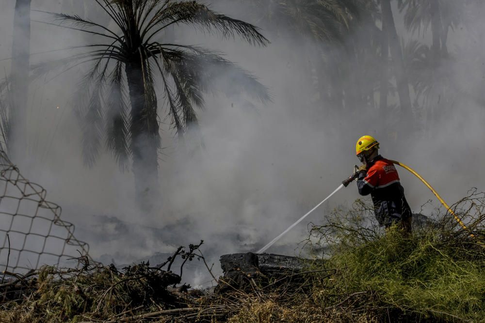 Fuego en el Palmeral de Elche