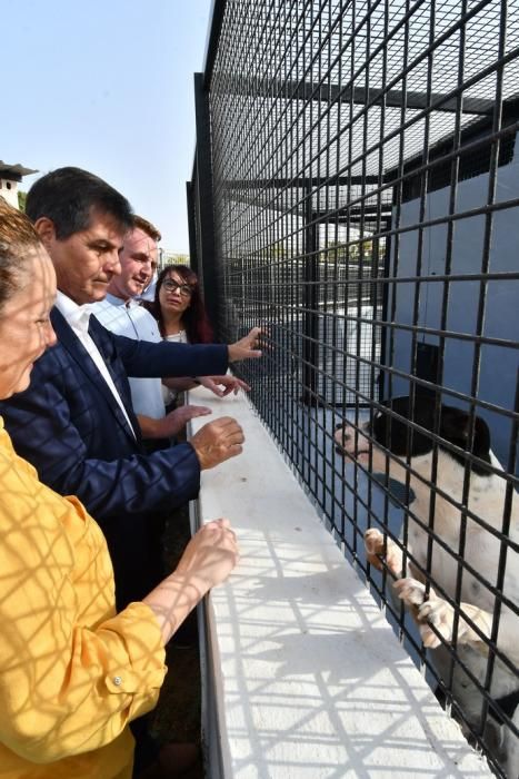 05/02/2020 CARBONERAS. SANTA LUCIA DE TIRAJANA. Inauguración del CETA, Centro de Estancia Temporal de Animales .   Fotógrafa: YAIZA SOCORRO.  | 05/02/2020 | Fotógrafo: Yaiza Socorro