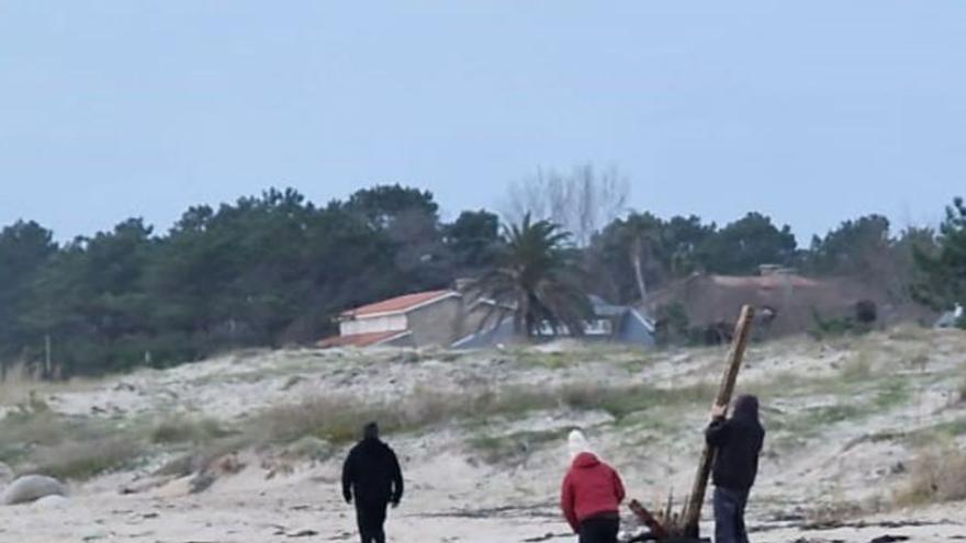 Uno de los delfines varados en Area da Cruz. |   // M. MÉNDEZ