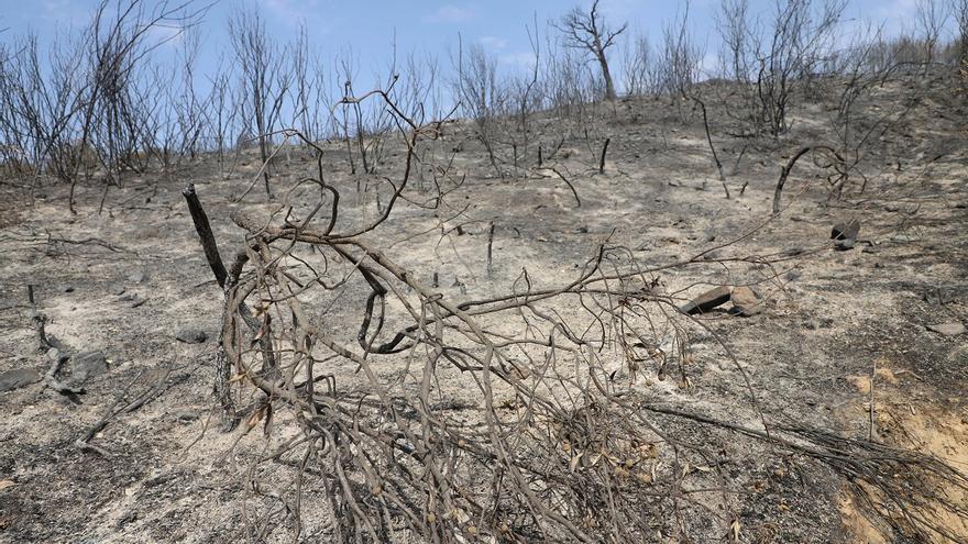 La UCO estudiará los problemas que desencadenan la desertificación