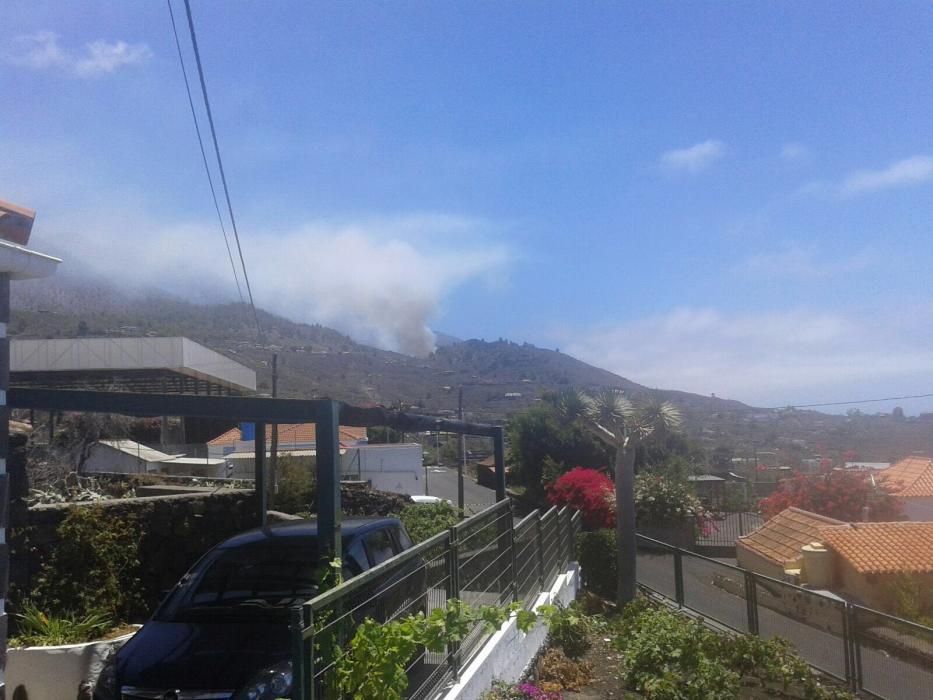 Incendio forestal en la zona de Las Manchas, en La Palma