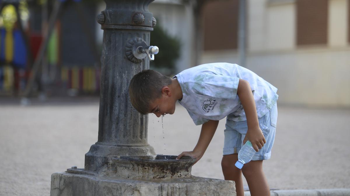 Hidratarse con frecuencia, protegerse la cabeza y evitar las horas centrales de sol son consejos de los expertos.