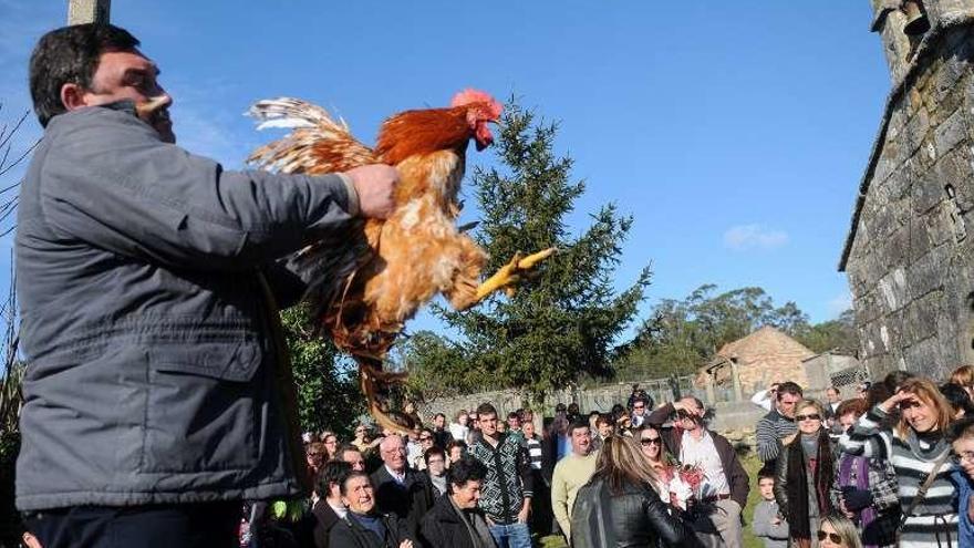 Subasta de ofrendas y gallos en Arra. // G. Santos