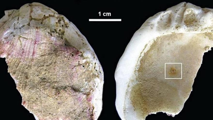 Exigen investigar el yacimiento de la Cueva de los Aviones