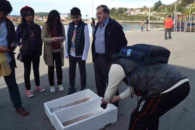 Primera venta de angula de la temporada en la rula de Ribadesella